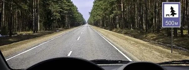 Иллюстрация к билету 17 вопросу 12